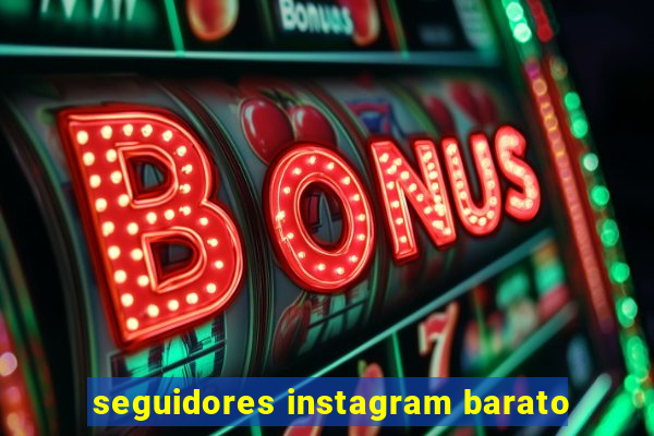 seguidores instagram barato